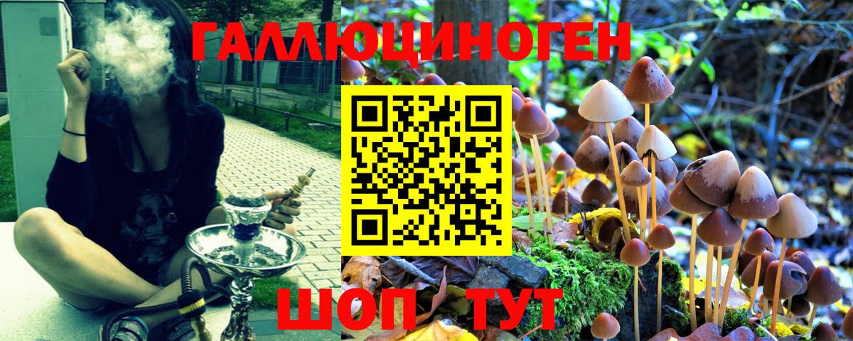 Галлюциногенные грибы ЛСД Дедовск