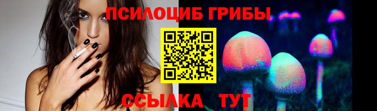 Псилоцибиновые грибы Magic Shrooms  Вход с VPN  Дедовск  Псилоцибиновые грибы Psilocybe 